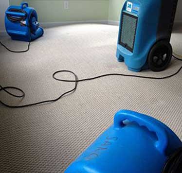Perth Bibra Lake Hilton Carpet Cleaning Service