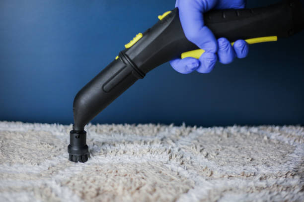 Perth and South Perth Carpet Cleaning