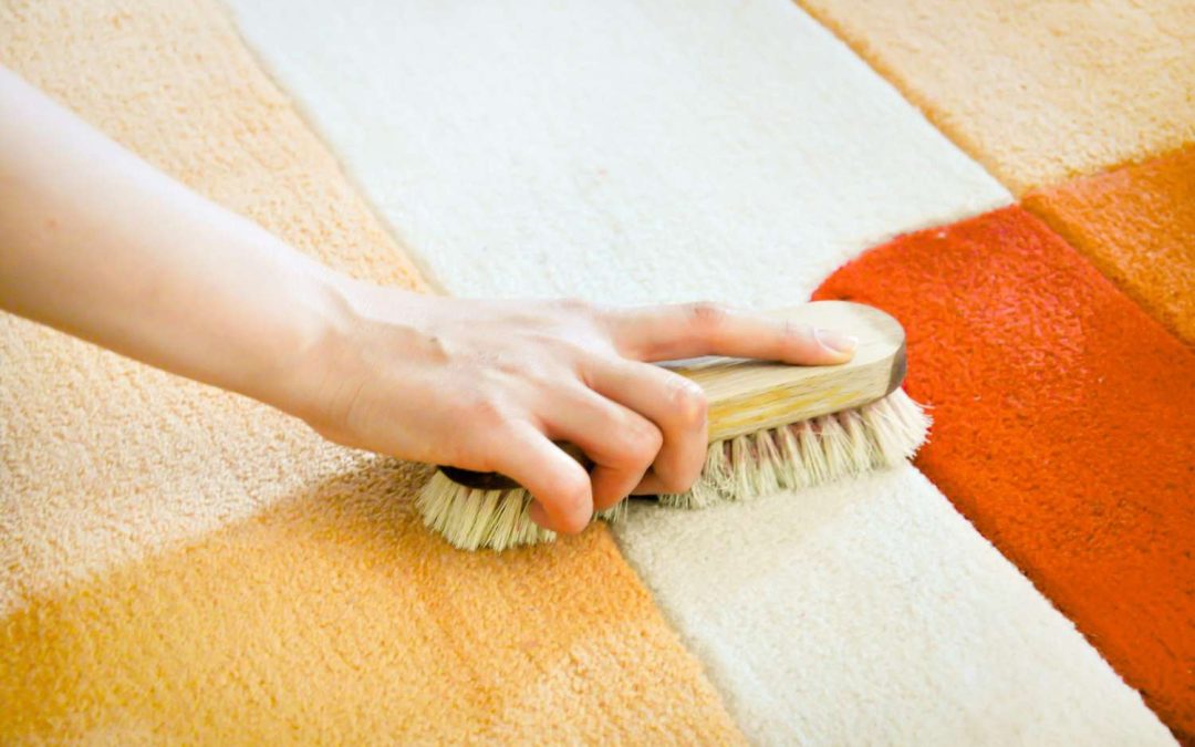 Carpet Cleaning Services near Dalgleish Mosman Park & Nedlands
