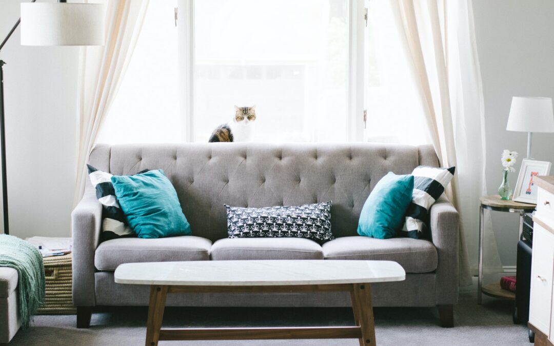 Best Upholstery Cleaning Services Perth