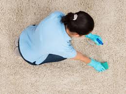 Perth and Cottesloe Flood Repair and Carpet Cleaning