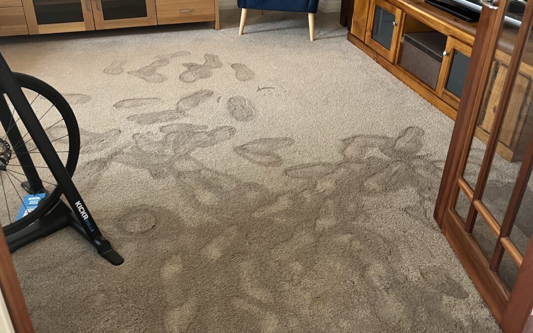 Perth Flood Restoration for Carpets