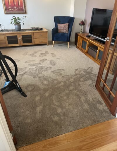 Perth Flood Restoration for Carpets