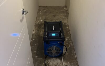 Flood Work Expert Carpet Cleaners East Perth Leederville Subiaco